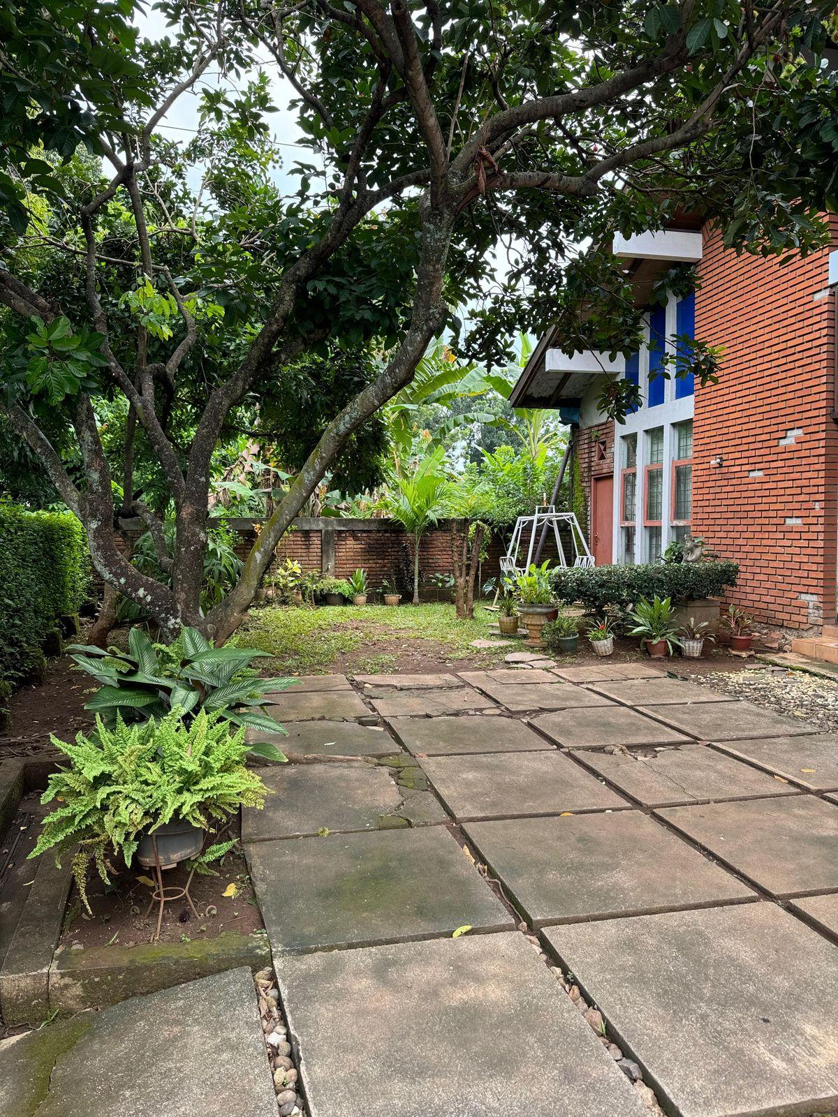 Jual Rumah Bagus Murah Telaga Bodas, Semarang Bisa Nego - Foto 2