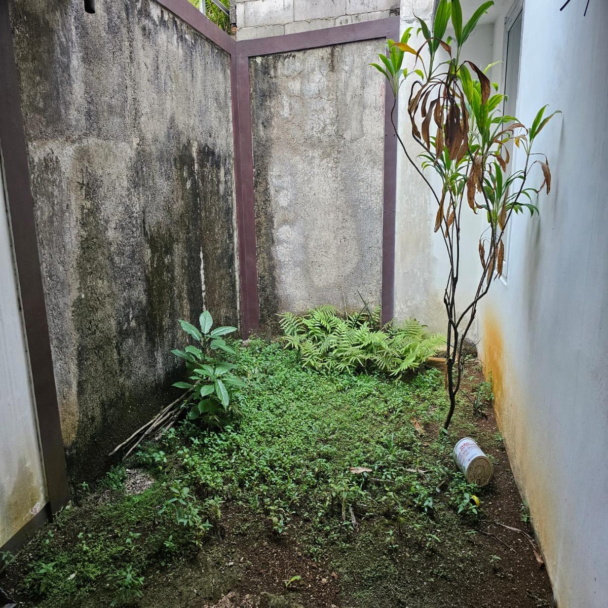 Dijual Rumah Asri Siap Huni di Nusa Indah Bogor – Lingkungan Nyaman & Akses Strategis - Foto 8