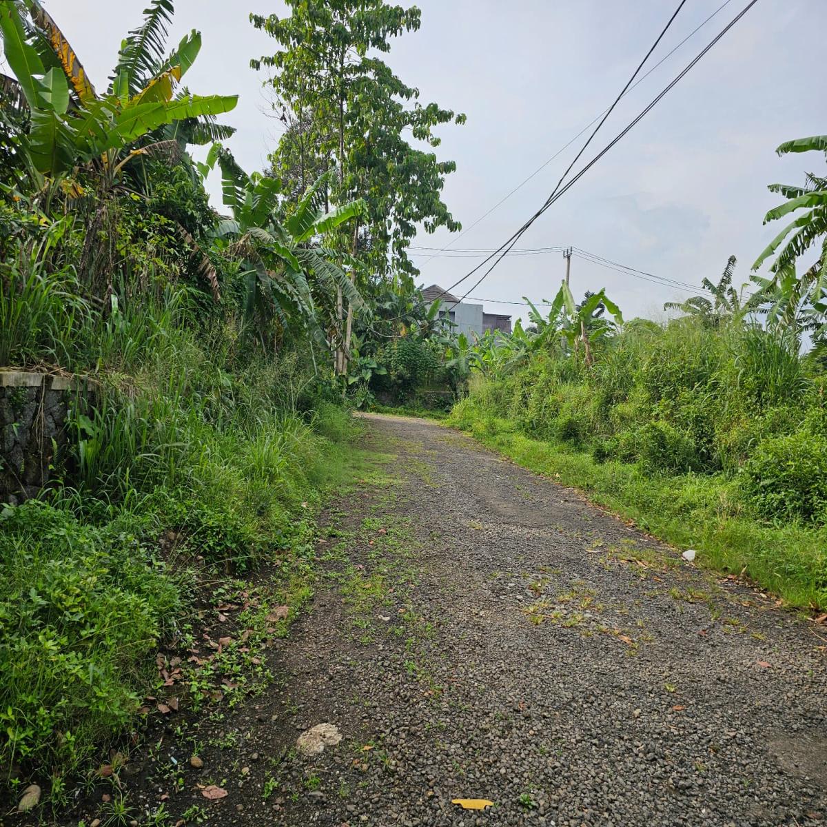 Dijual Rumah di Perumahan Pamoyanan Hijau Kota Bogor - Foto 9
