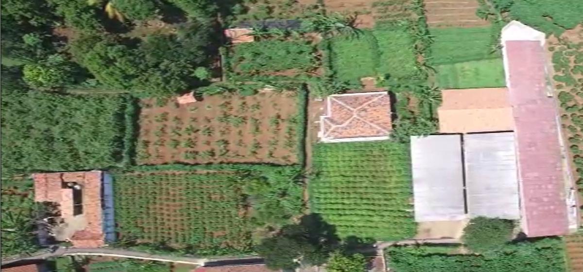 Kavling Strategis Dekat Kampus IPB Dramaga