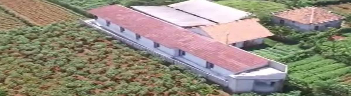 Kavling Strategis Dekat Kampus IPB Dramaga - Foto 2