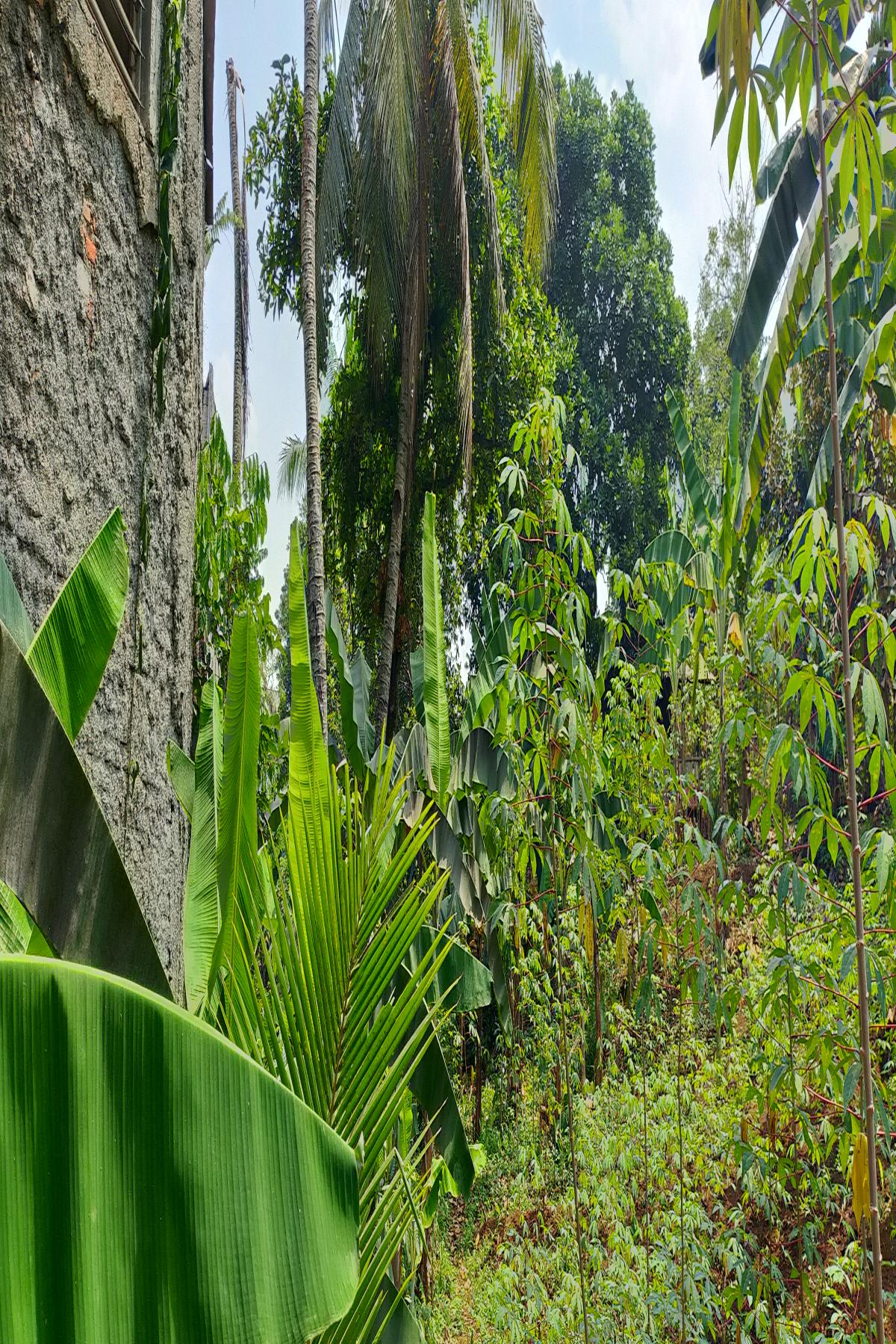 Kavling 4.000 Meter Persegi Dalam Cluster Perumahan Taman Yasmin Sektor 2 Bogor Barat - Foto 6