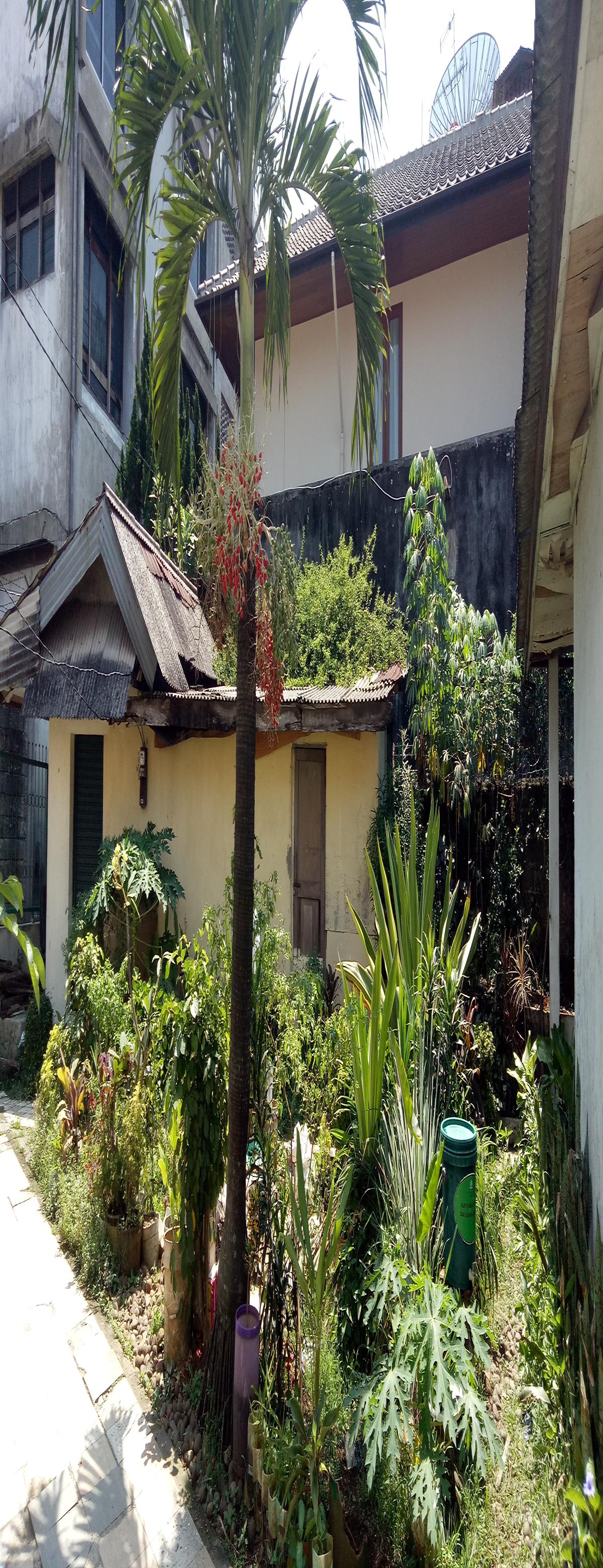 Kavling 570 Meter Persegi Bonus 250 Meter Persegi Rumah Tak Terawat - Foto 3