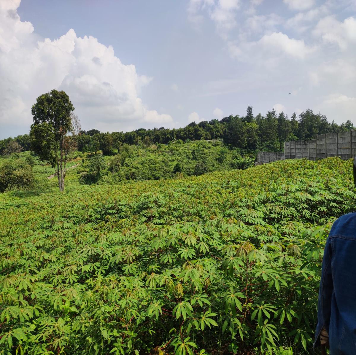 Dijual Tanah View Alam di Cibanon – Cocok untuk Villa, Homestay, atau Kebun - Foto 2