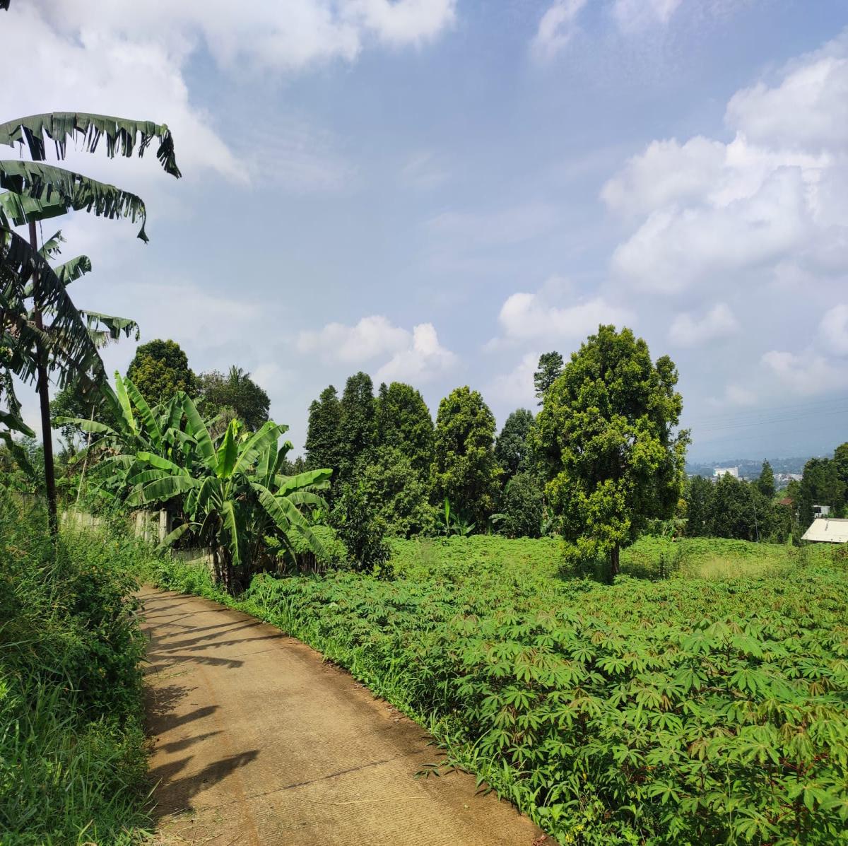 Dijual Tanah View Alam di Cibanon – Cocok untuk Villa, Homestay, atau Kebun - Foto 3