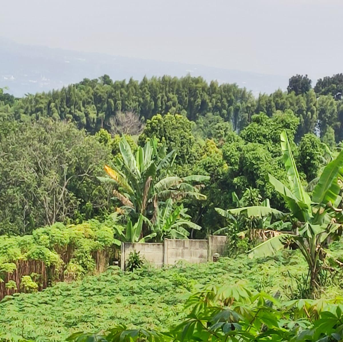 Dijual Tanah View Alam di Cibanon – Cocok untuk Villa, Homestay, atau Kebun - Foto 8