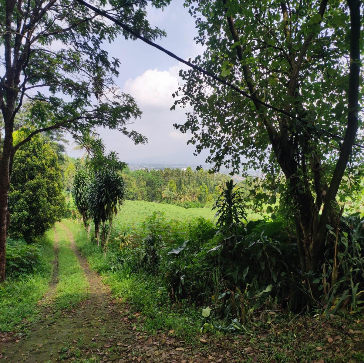 Dijual Tanah View Alam di Cibanon – Cocok untuk Villa, Homestay, atau Kebun - Foto 12