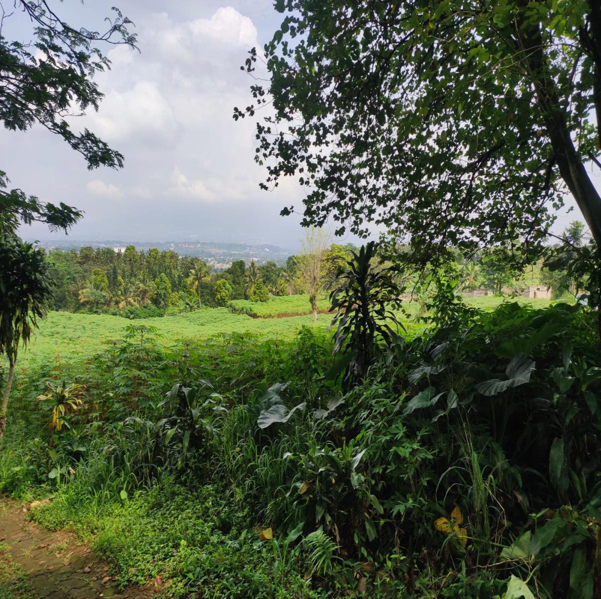 Dijual Tanah View Alam di Cibanon – Cocok untuk Villa, Homestay, atau Kebun - Foto 13