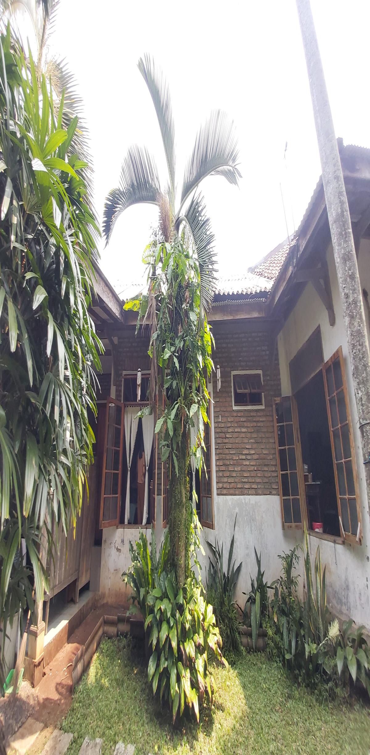 Dijual Rumah Joglo Pondok Cabe