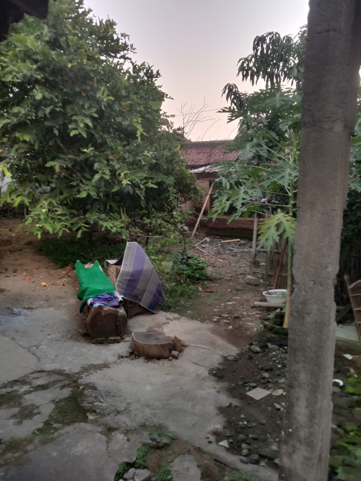 Dijual Rumah Luas dan Asri di Gayam, Sukoharjo - Foto 2