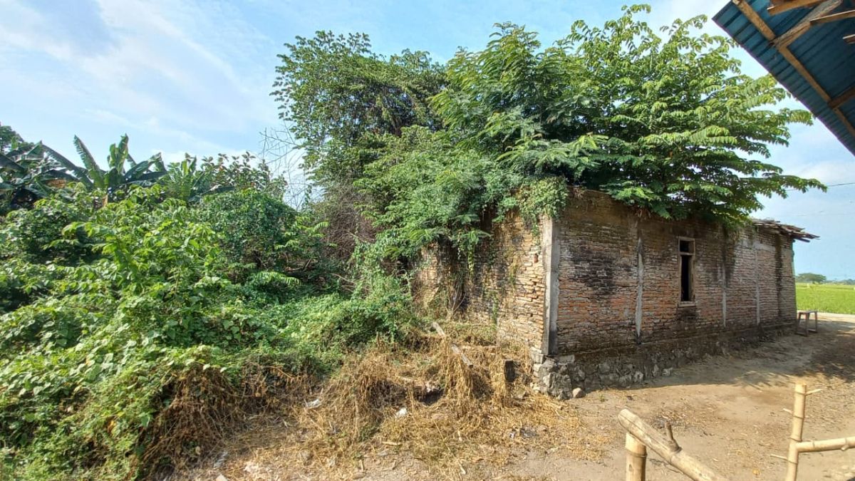 Dijual Tanah di Karnosari Sukoharjo