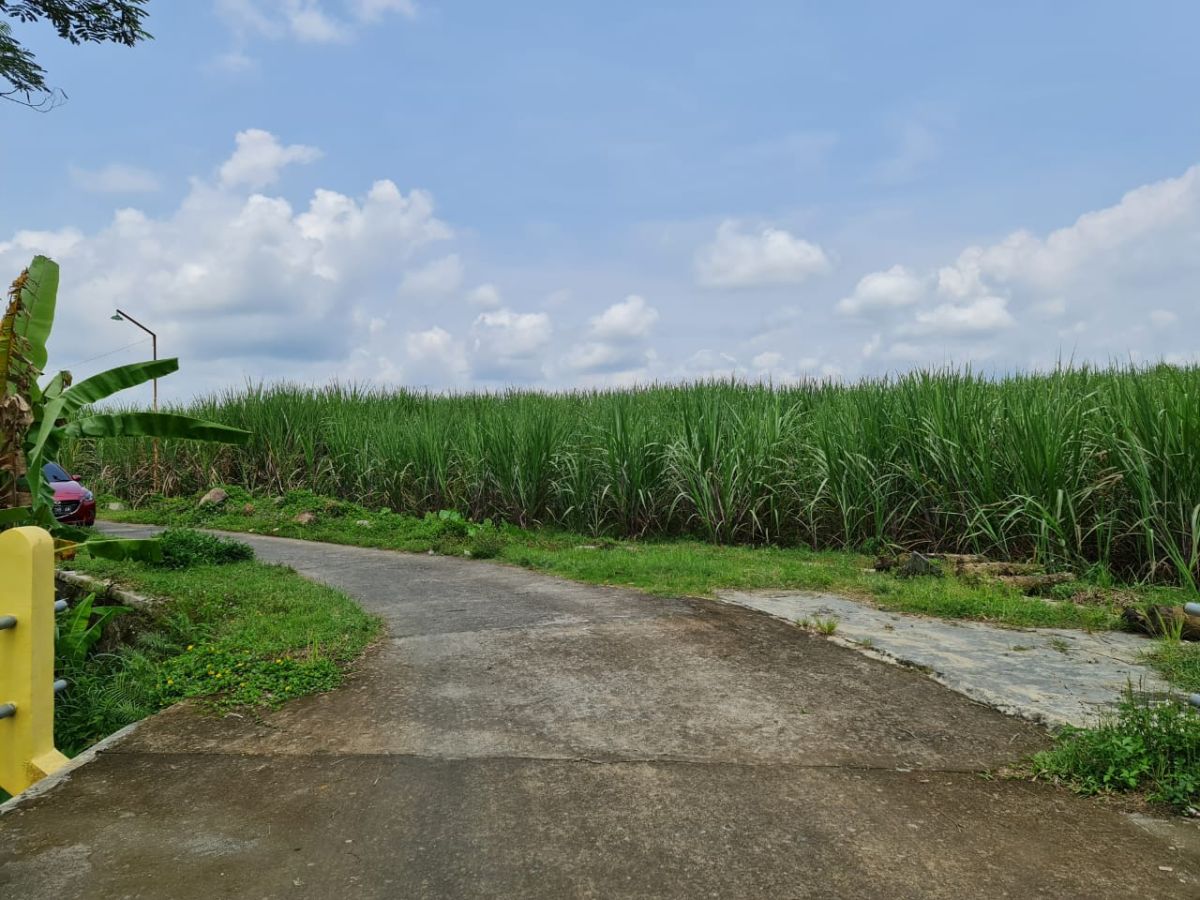 Dijual Tanah Luas Dengan Pemandangan Indah dan Udara Bersih, di Bangsri Karangpandan Karanganyar - Foto 2