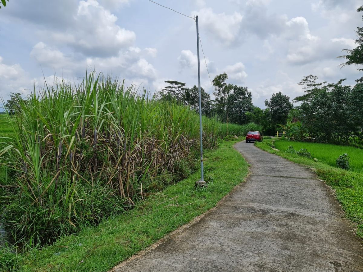 Dijual Tanah Luas Dengan Pemandangan Indah dan Udara Bersih, di Bangsri Karangpandan Karanganyar - Foto 3