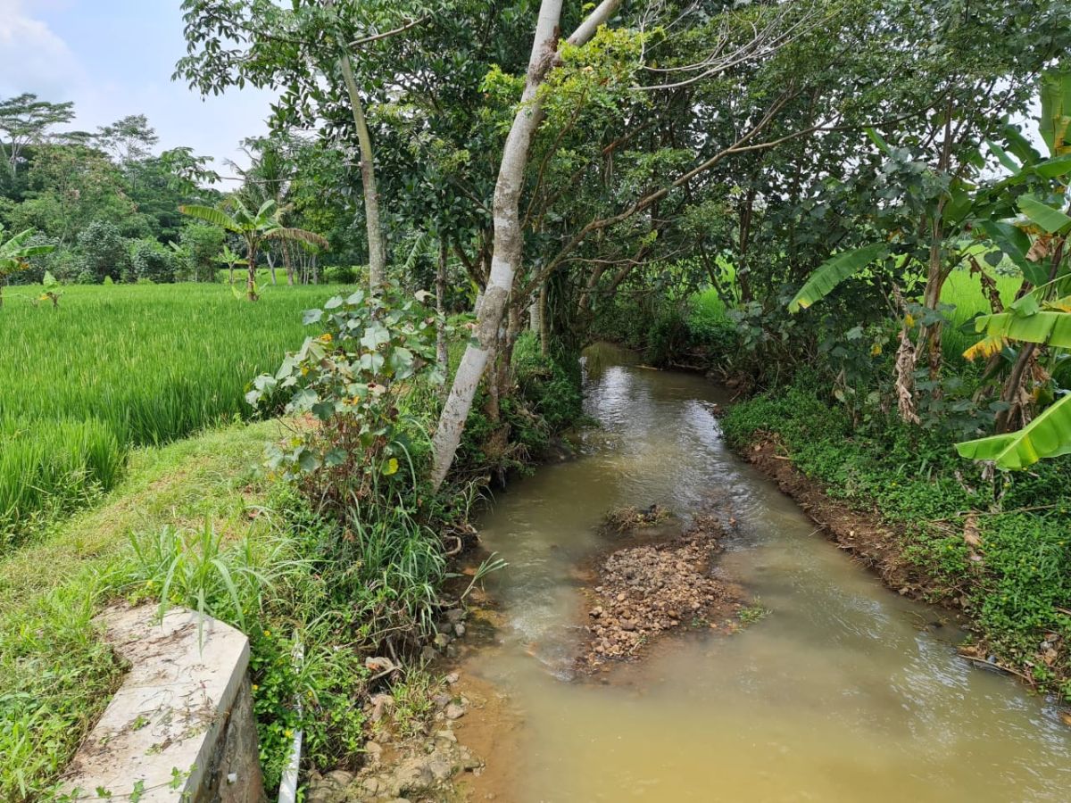 Dijual Tanah Luas Dengan Pemandangan Indah dan Udara Bersih, di Bangsri Karangpandan Karanganyar - Foto 4
