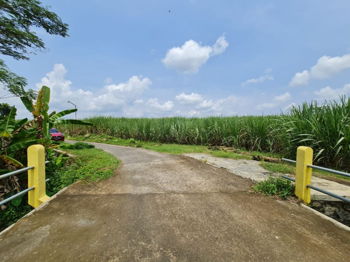 Dijual Tanah Luas Dengan Pemandangan Indah dan Udara Bersih, di Bangsri Karangpandan Karanganyar - Foto 5