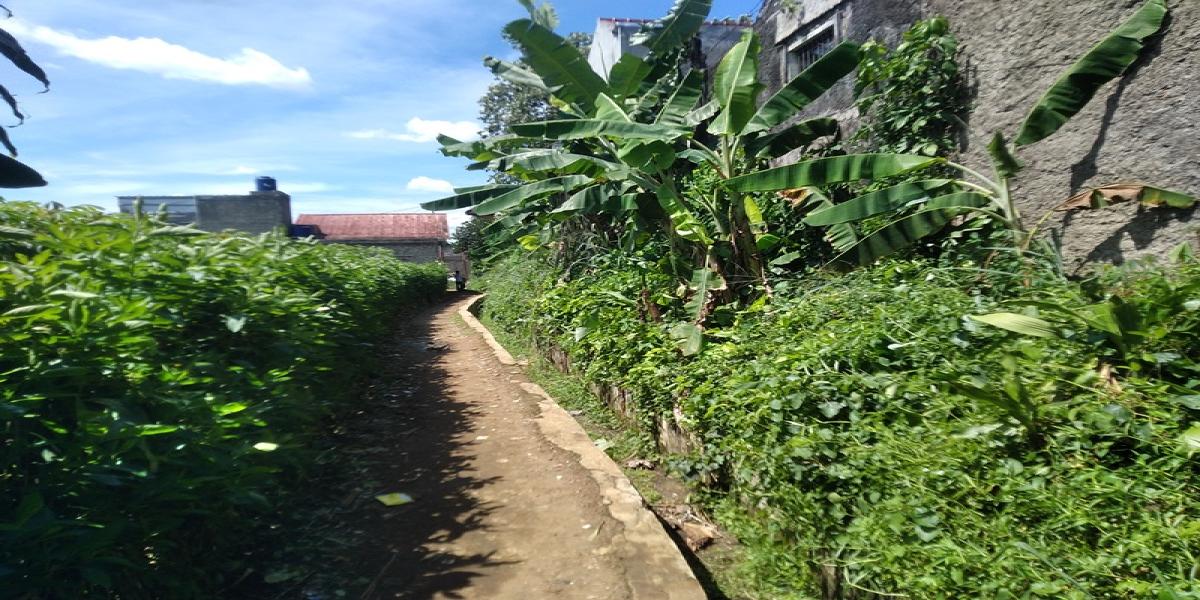 Jual Cepat! Tanah Luas 4.825 M2 di Perumahan Menteng Asri, Strategis! - Foto 2