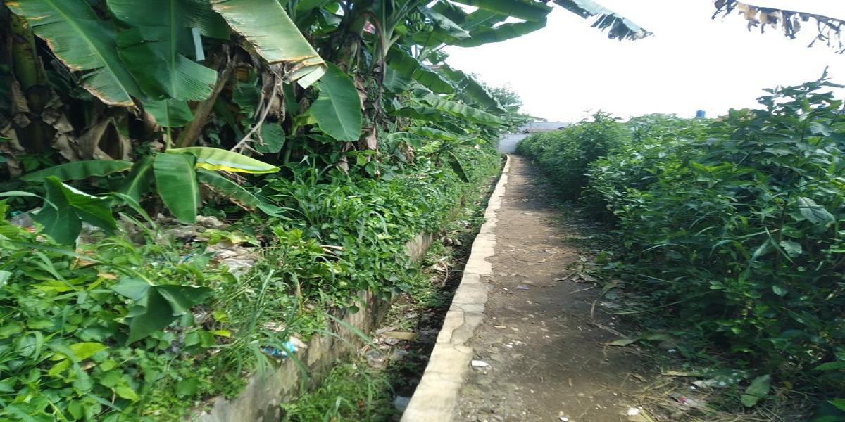 Jual Cepat! Tanah Luas 4.825 M2 di Perumahan Menteng Asri, Strategis! - Foto 3