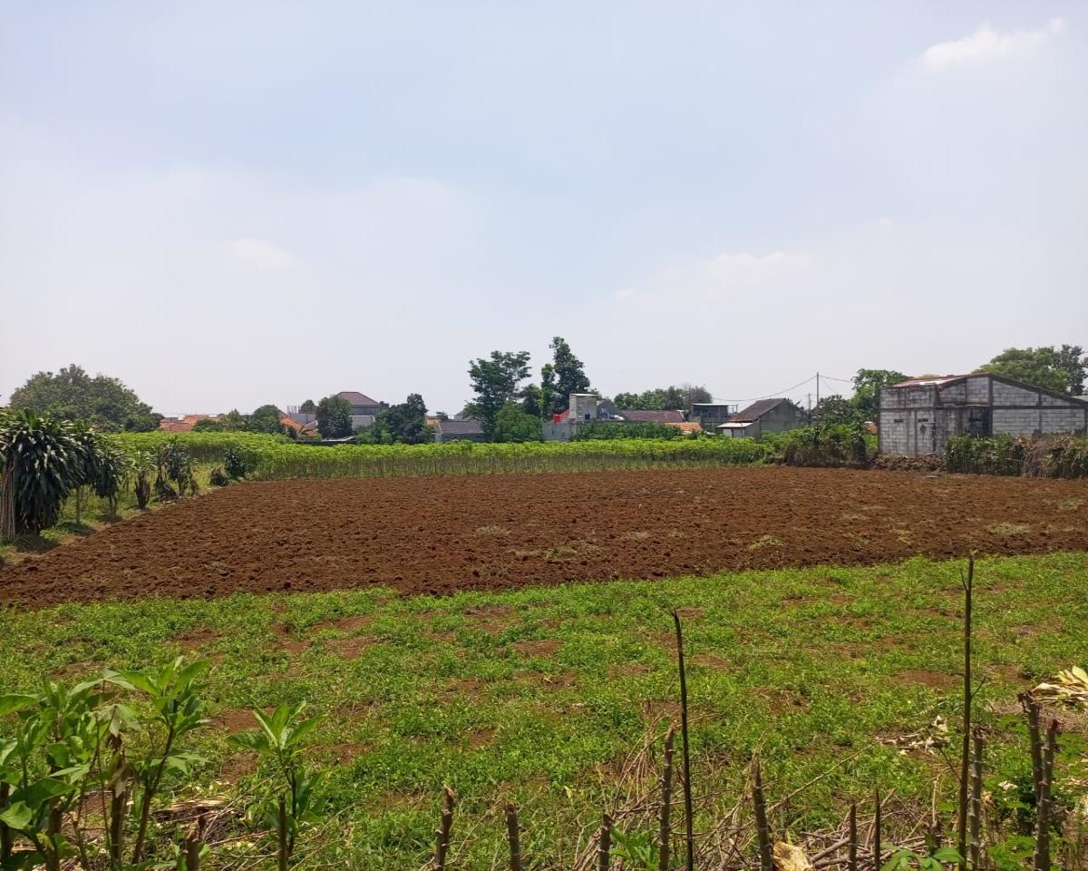 Jual Cepat! Tanah Luas 4.825 M2 di Perumahan Menteng Asri, Strategis! - Foto 4