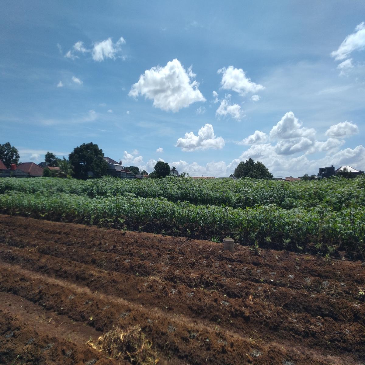 Jual Cepat! Tanah Luas 4.825 M2 di Perumahan Menteng Asri, Strategis! - Foto 5