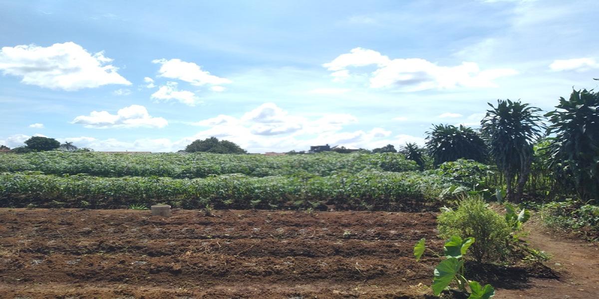 Jual Cepat! Tanah Luas 4.825 M2 di Perumahan Menteng Asri, Strategis! - Foto 6