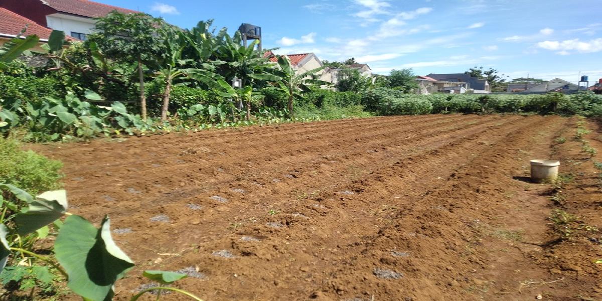 Jual Cepat! Tanah Luas 4.825 M2 di Perumahan Menteng Asri, Strategis! - Foto 7