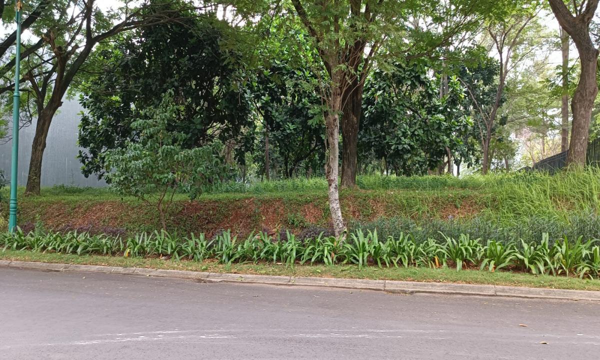 Dijual Kavling Di The Royal Orchard