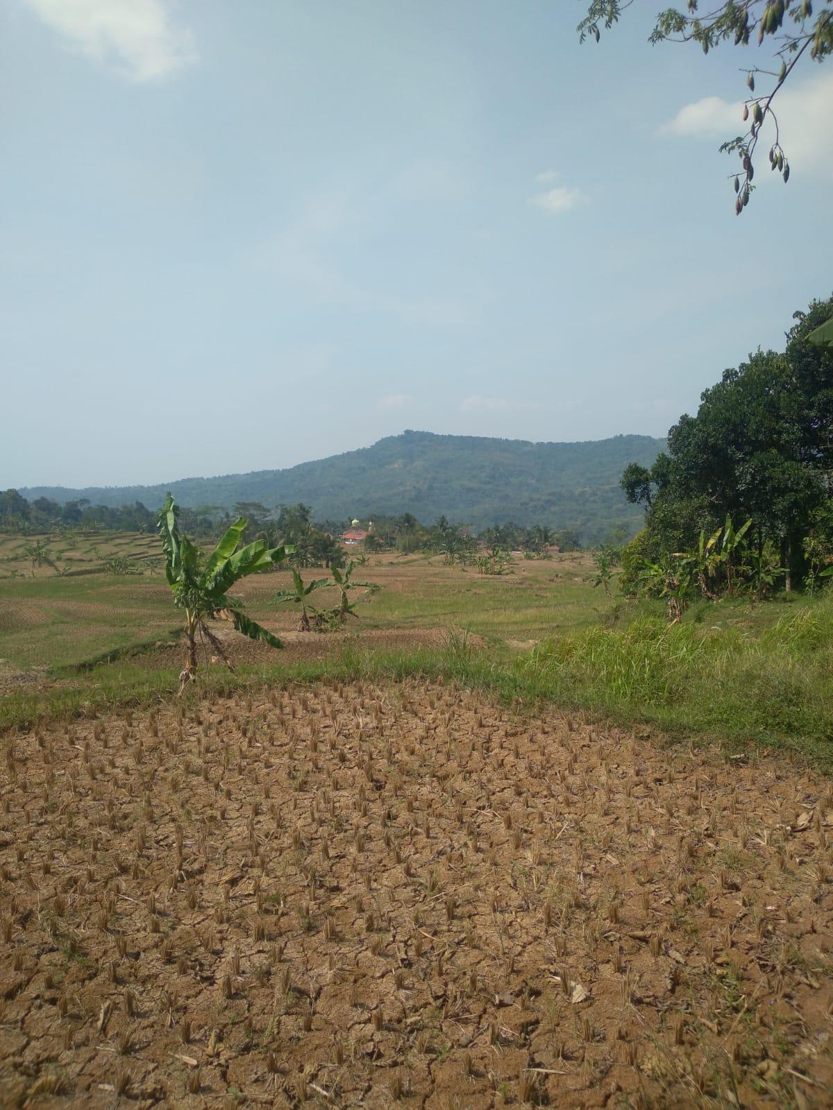 Dijual Tanah Akses Mobil Puncak Bogor Jawa Barat