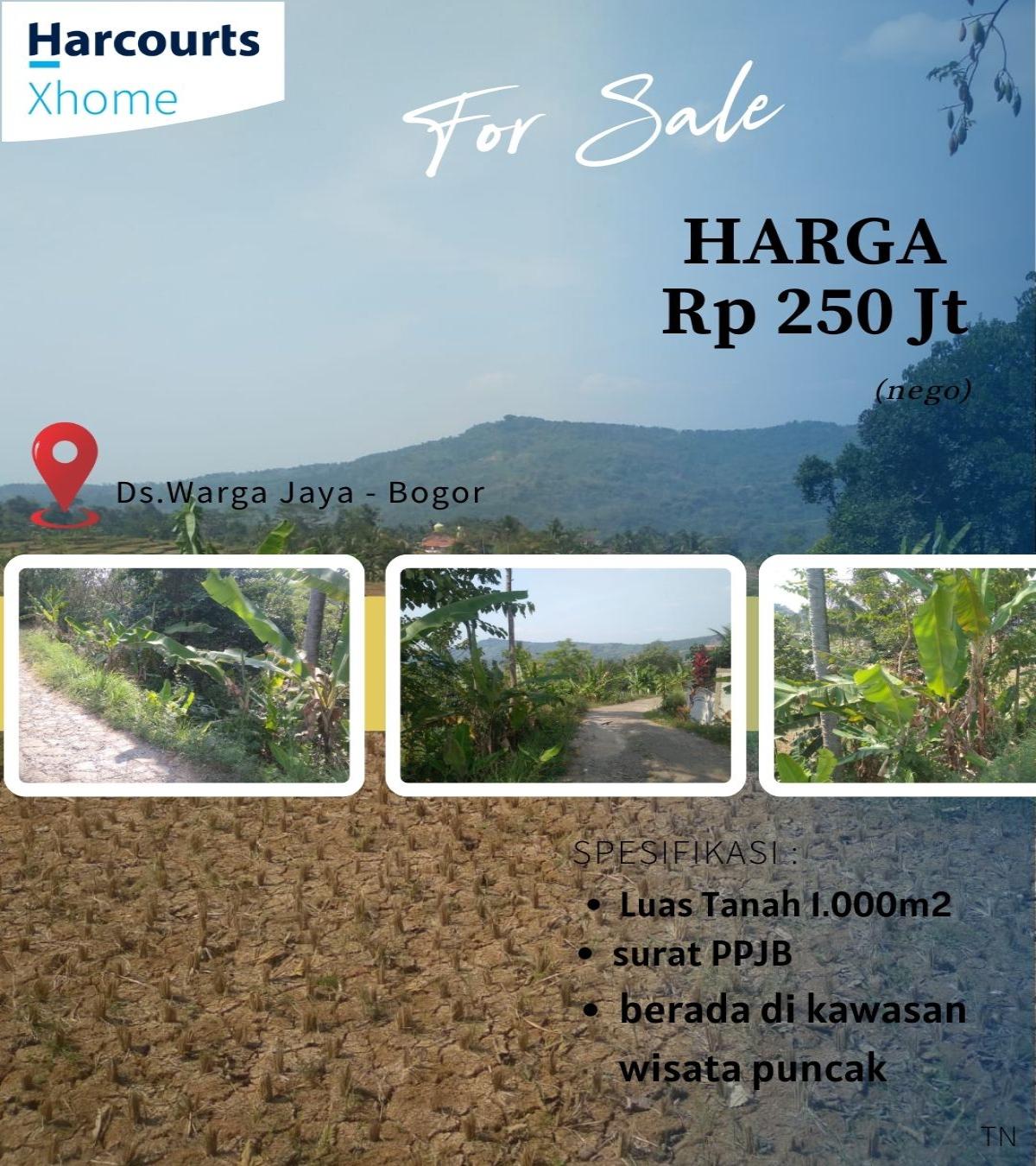 Dijual Tanah Akses Mobil Puncak Bogor Jawa Barat - Foto 7