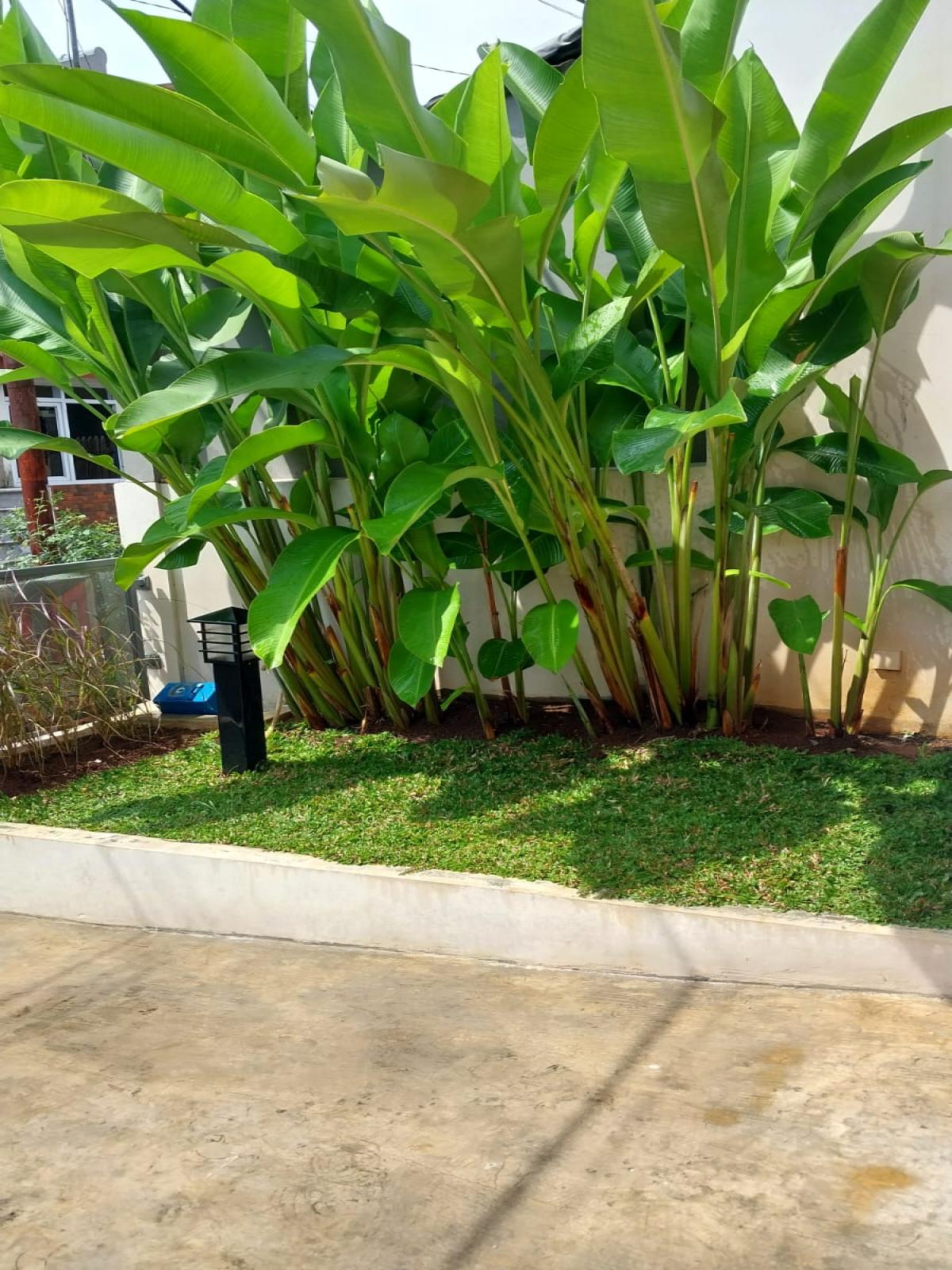 Dijual Rumah Nyaman di Griya Katulampa Bogor – Dekat Tol & Fasilitas Umum