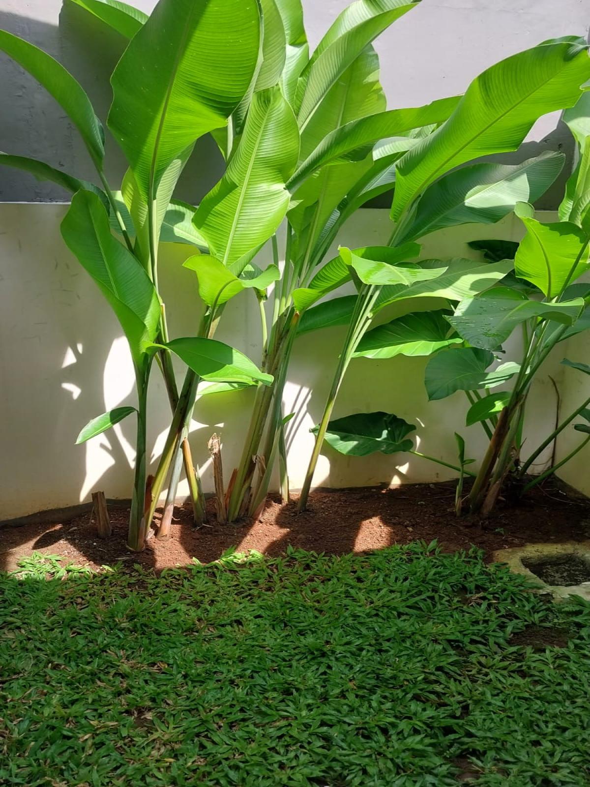 Dijual Rumah Nyaman di Griya Katulampa Bogor – Dekat Tol & Fasilitas Umum - Foto 8