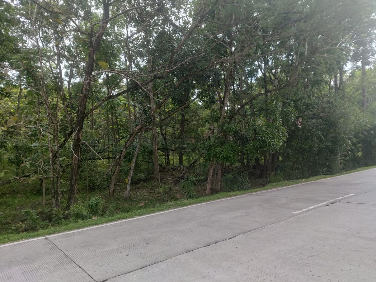 Dijual Tanah Zona Industri, Dekat Boyolali