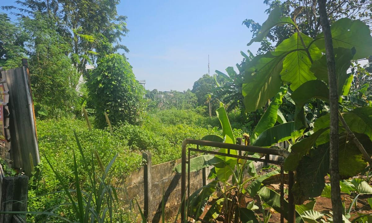 Tanah 2328 m2 Banyumanik, Semarang Cocok Untuk Kost / Homestay Dekat Undip