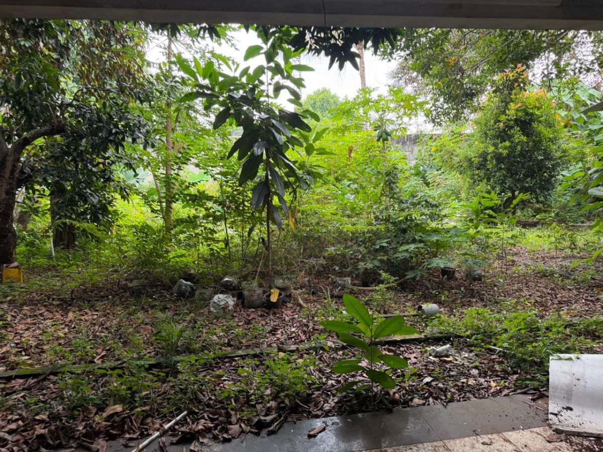 JUAL CEPAT, LAHAN LUAS 2200 M2, JALAN PASO, JAGAKARSA, JAKARTA SELATAN - Foto 3