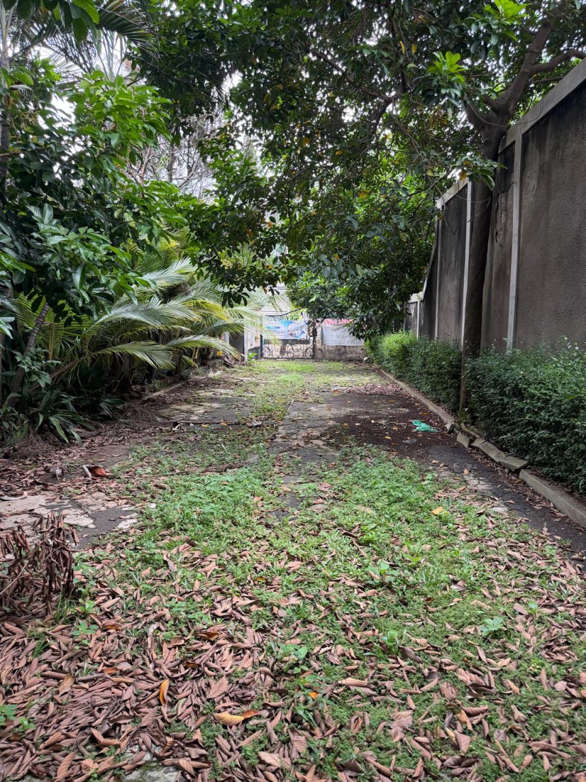 JUAL CEPAT, LAHAN LUAS 2200 M2, JALAN PASO, JAGAKARSA, JAKARTA SELATAN