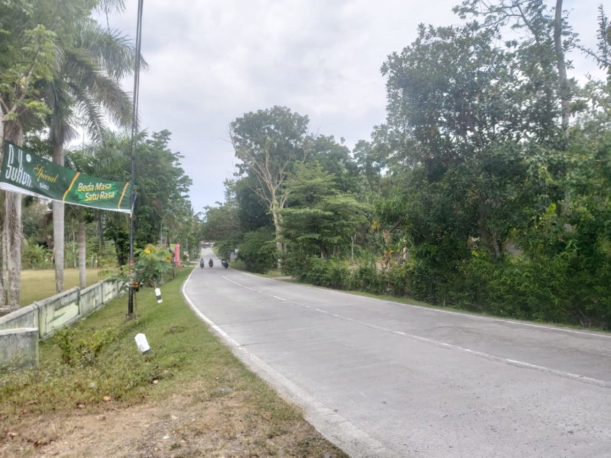 Dijual Tanah Zona Industri Dekat Boyolali - Foto 2