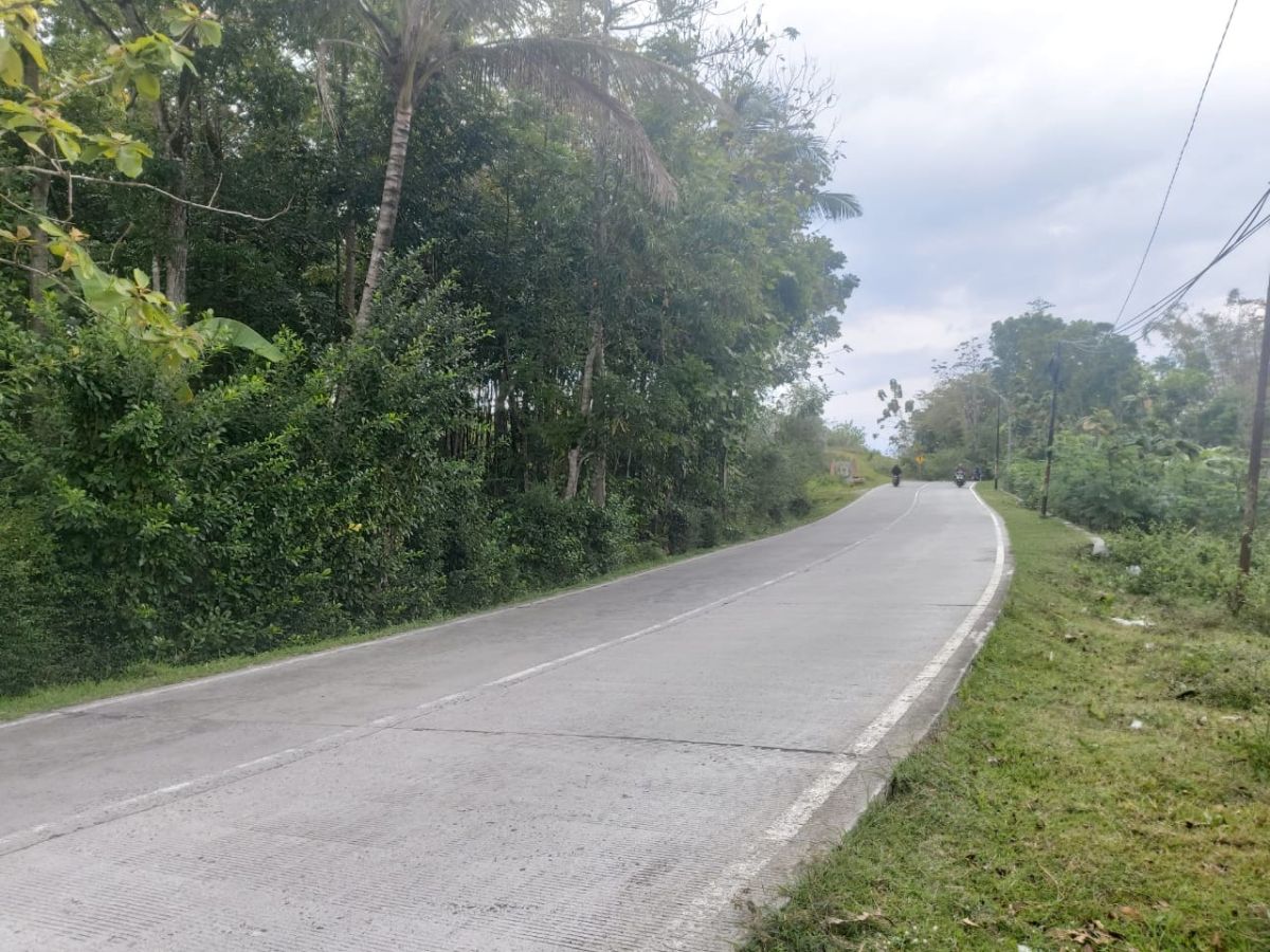 Dijual Tanah Zona Industri Dekat Boyolali - Foto 3