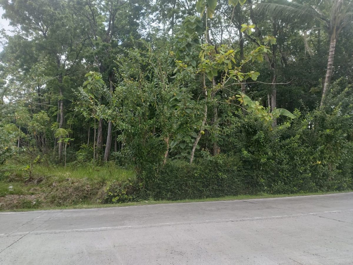 Dijual Tanah Zona Industri Dekat Boyolali - Foto 5