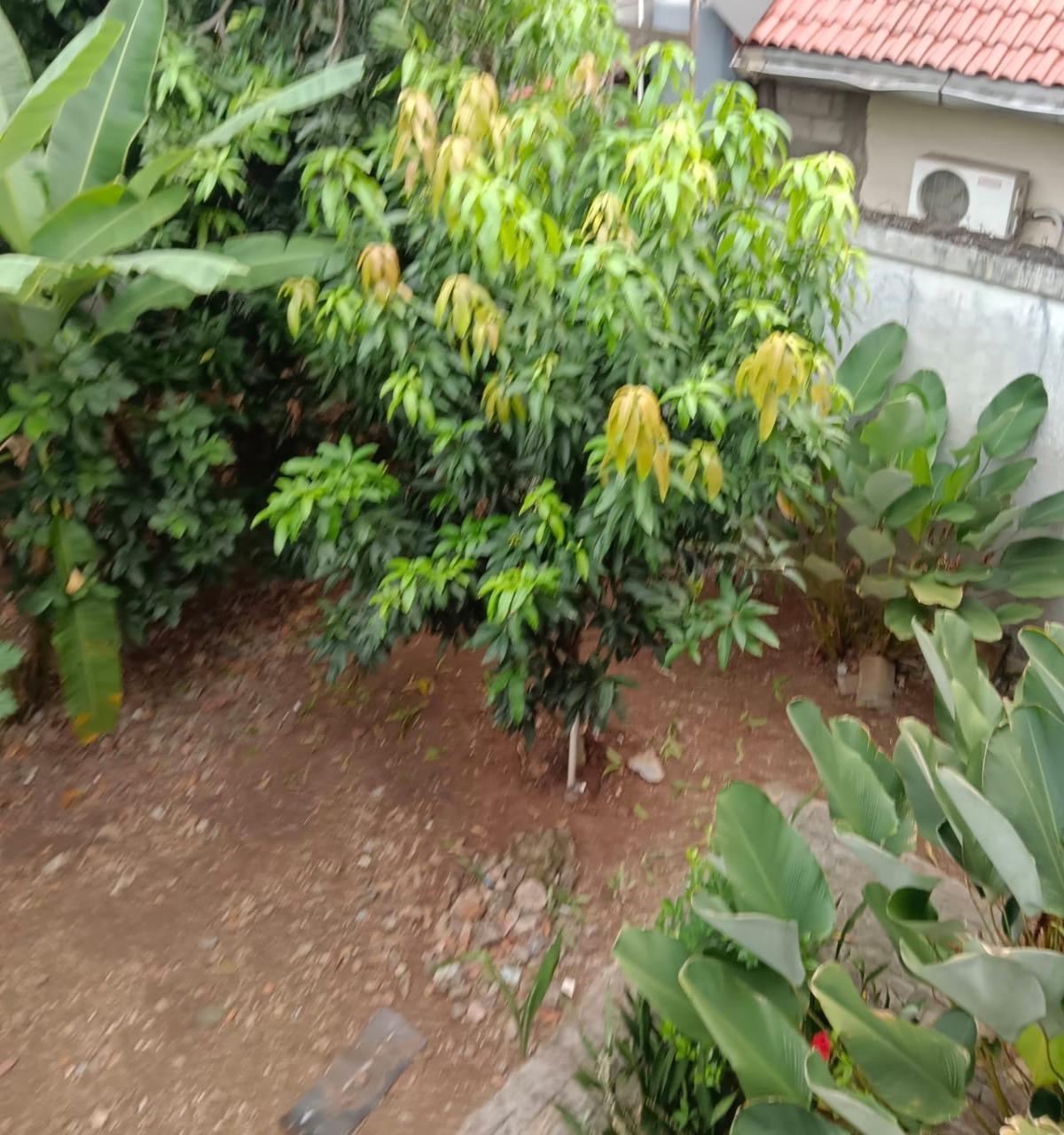 Rumah Kebagusan 3 Jakarta Selatan - Foto 2