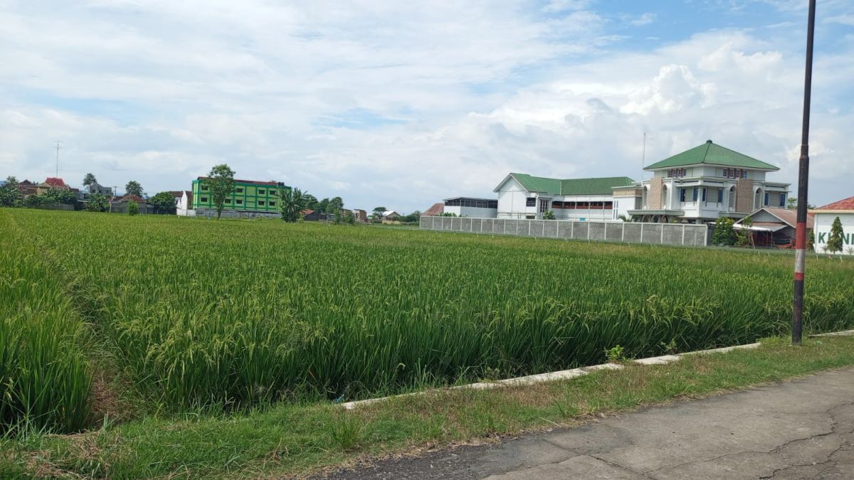 Dijual Tanah Sawah Zona Kuning, Lokasi di Joho - Sukoharjo - Foto 3