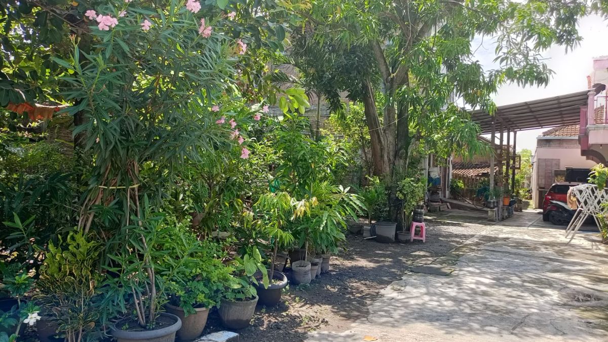 Dijual Tanah Pekarangan Dekat Alun Alun Sukoharjo, Lokasi di Sukoharjo Kota