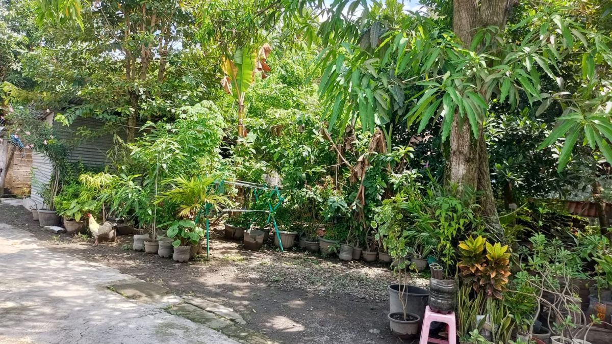 Dijual Tanah Pekarangan Dekat Alun Alun Sukoharjo, Lokasi di Sukoharjo Kota - Foto 4