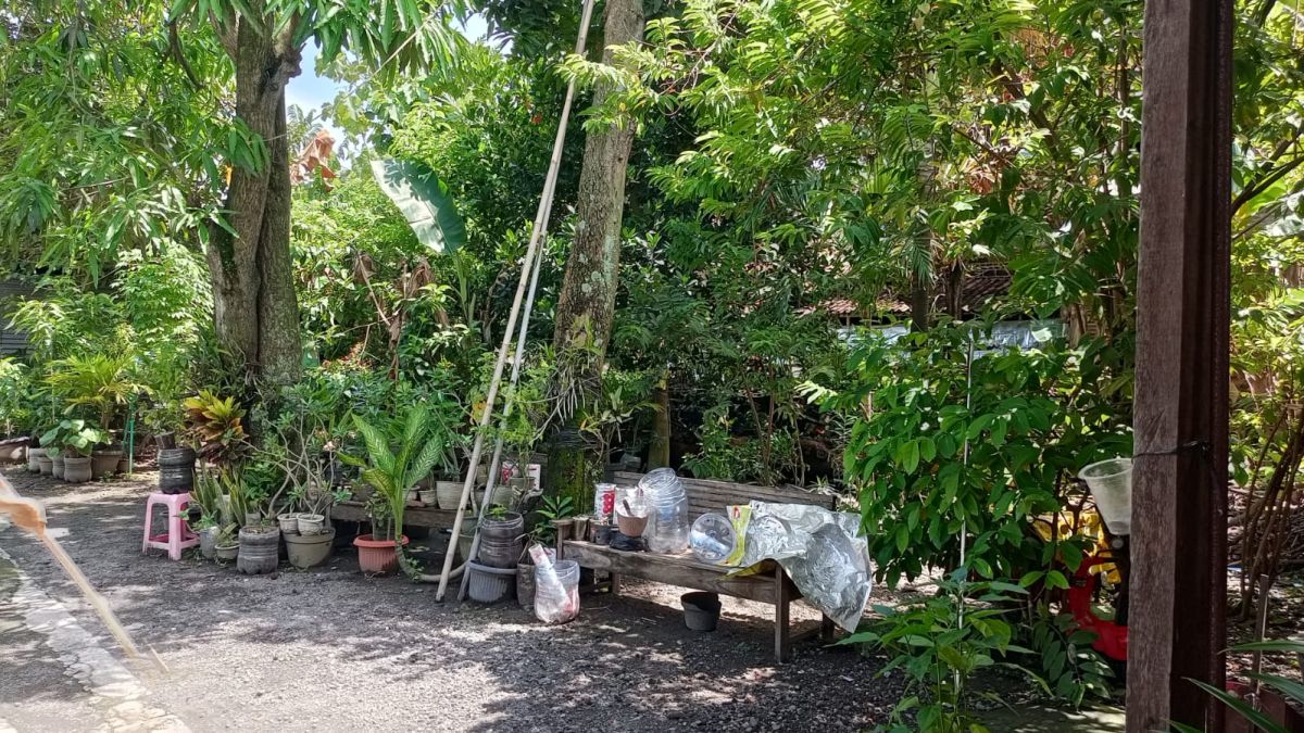 Dijual Tanah Pekarangan Dekat Alun Alun Sukoharjo, Lokasi di Sukoharjo Kota - Foto 5