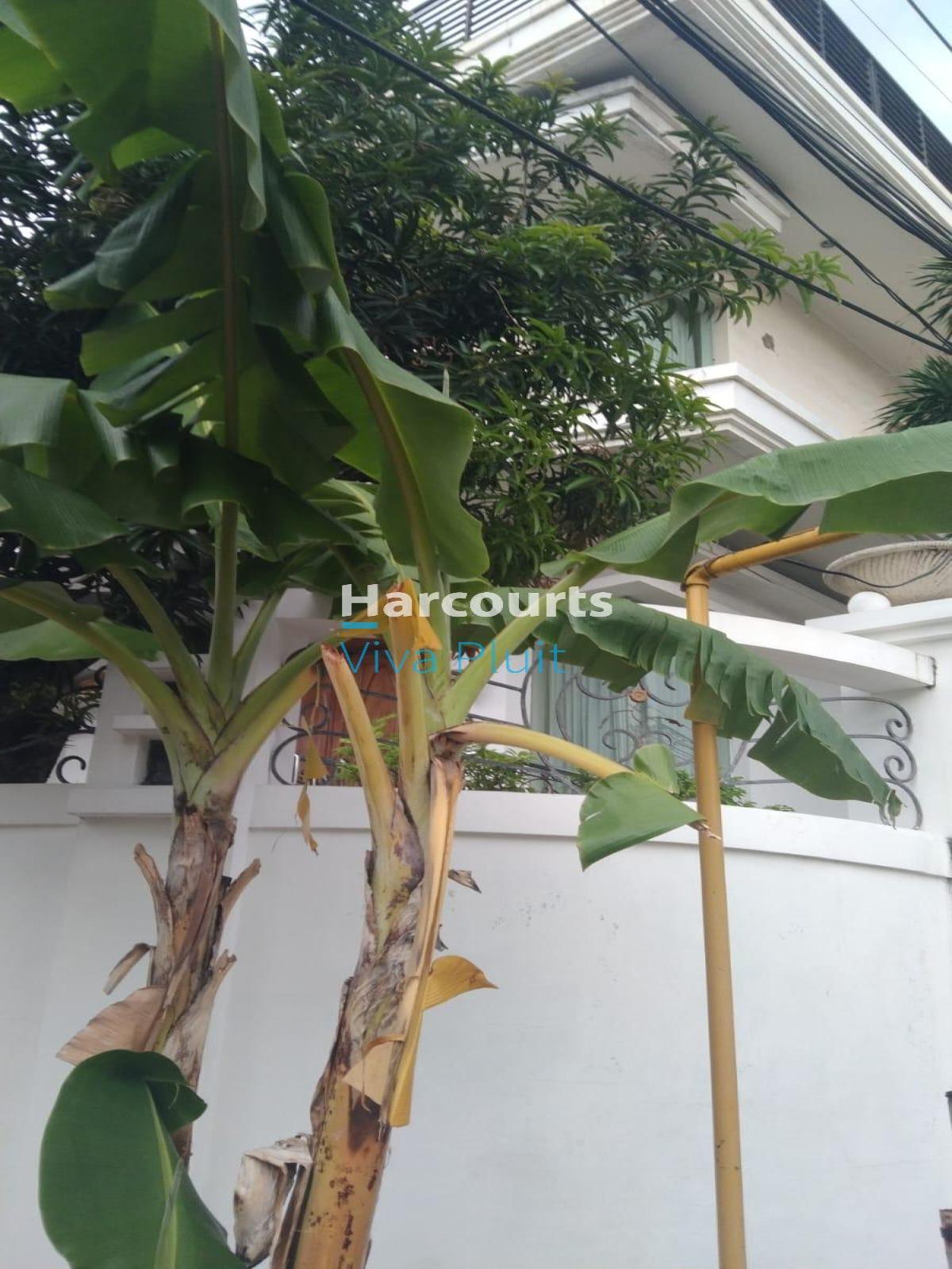 Di Jual Rumah Jl. Pluit Putra Hook. Harga Nego - Foto 11