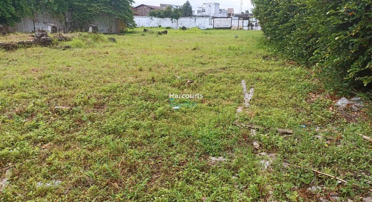 Dijual Cepat Tanah di Jl. Sultan Agung, Jember. Cocok Untuk Investasi. - Foto 3