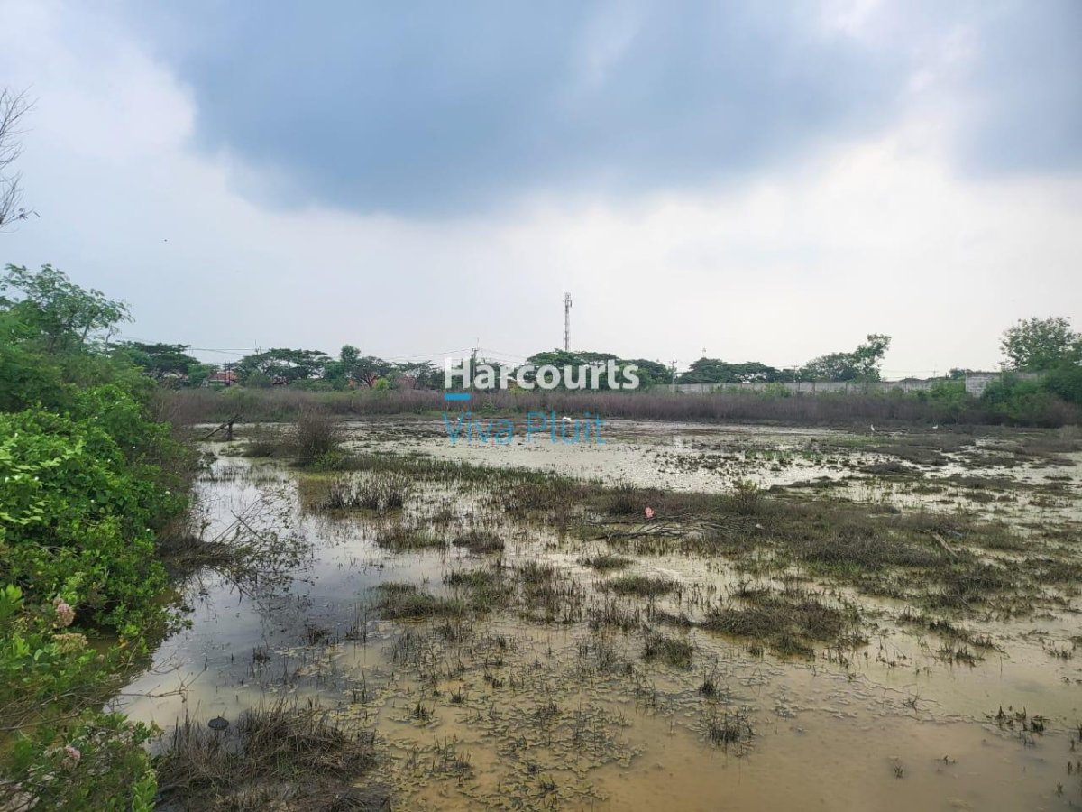 Tanah Blok Asem Gede, Pangenan, Cirebon. Harga Murah Bawah Pasar!