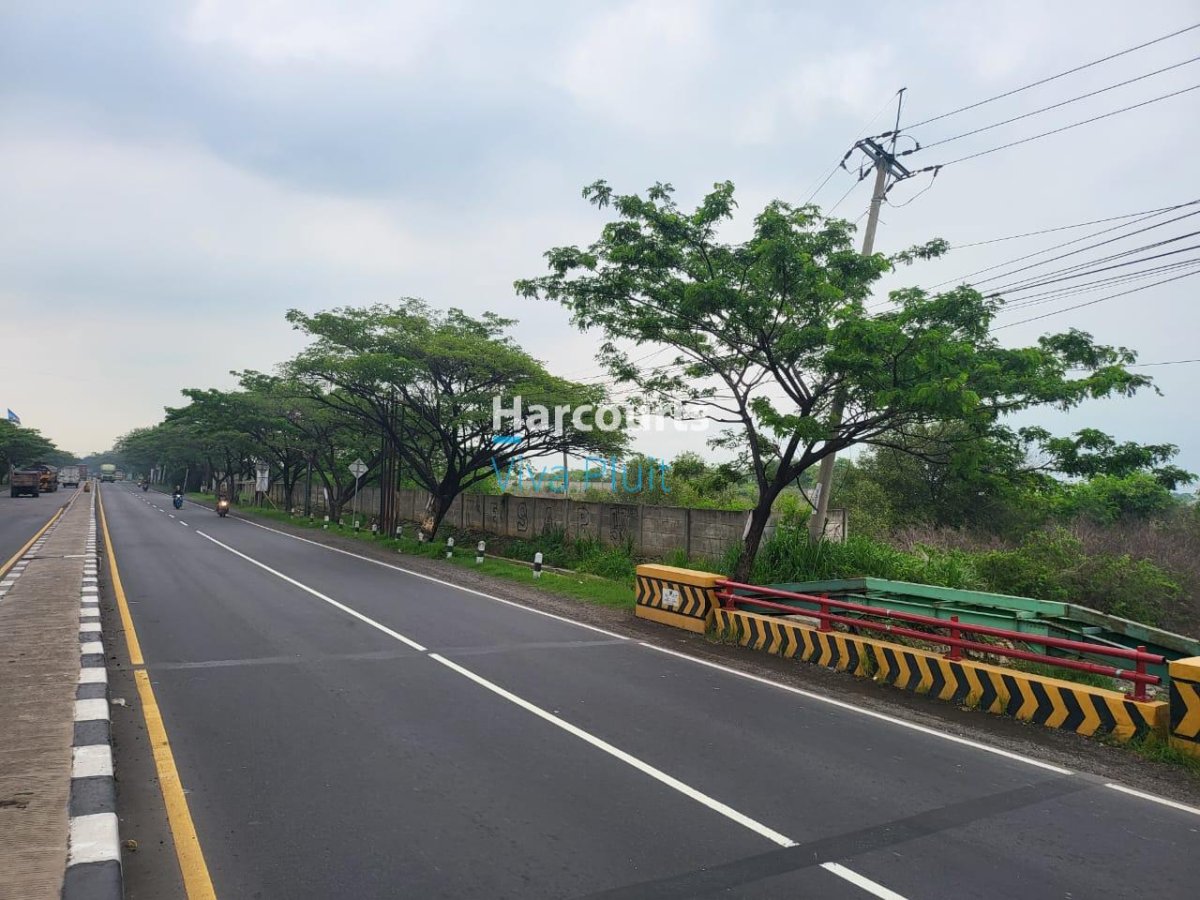 Tanah Blok Asem Gede, Pangenan, Cirebon. Harga Murah Bawah Pasar! - Foto 2
