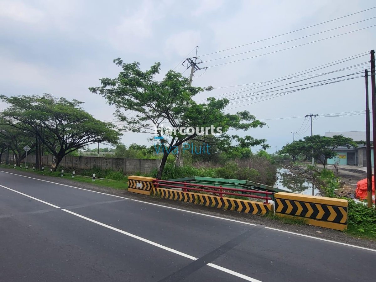 Tanah Blok Asem Gede, Pangenan, Cirebon. Harga Murah Bawah Pasar! - Foto 4