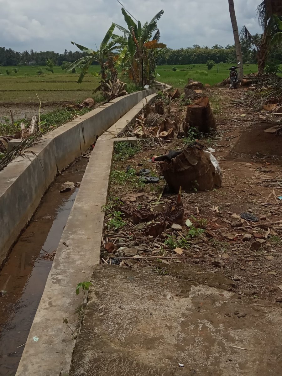 Dijual Tanah Daerah Kampung Domplang Purworejo Kedu Jawa Tengah - Foto 3