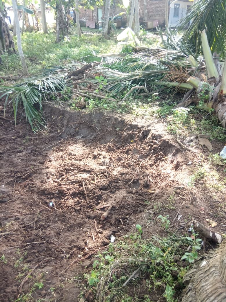 Dijual Tanah Daerah Kampung Domplang Purworejo Kedu Jawa Tengah - Foto 5