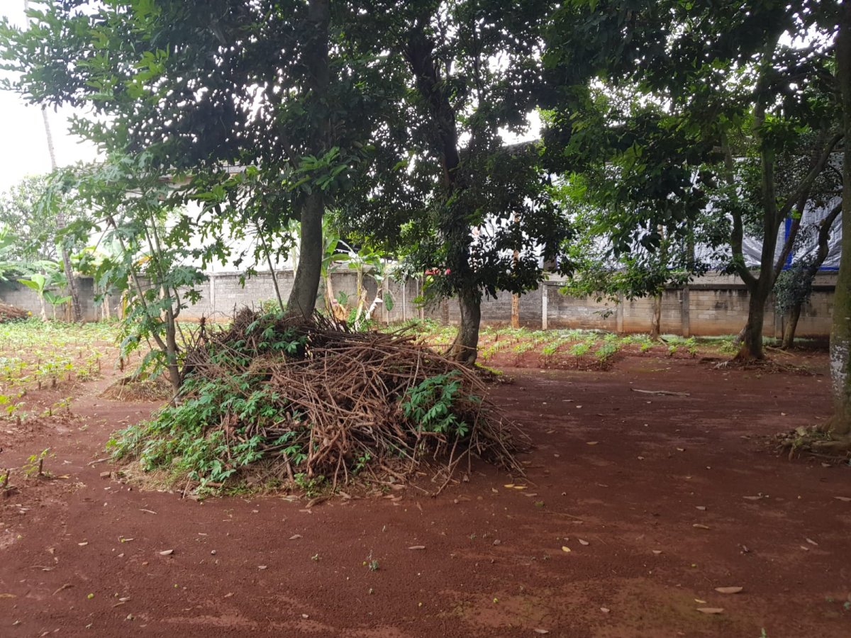 Jual Tanah Kosong di Cipayung Jakarta Timur AL